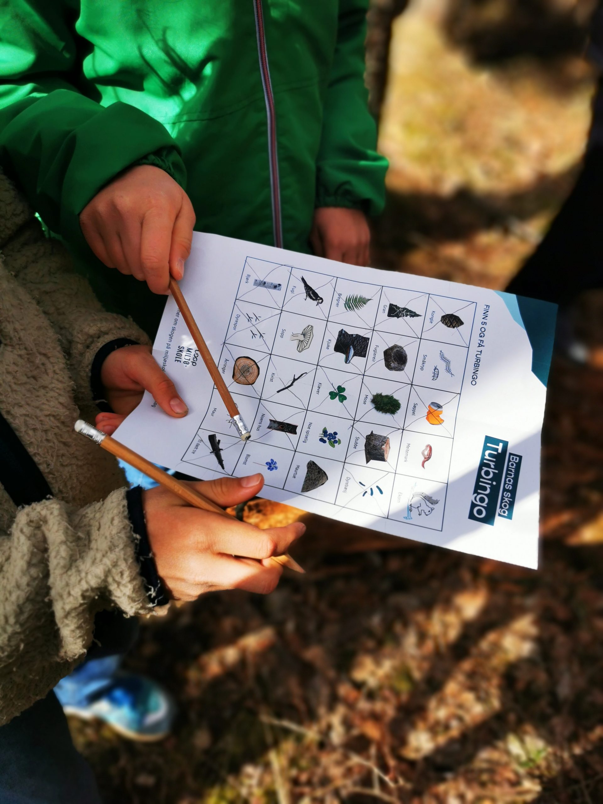 Barnas skog turbingo!